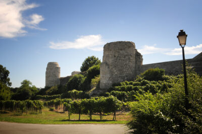 Vue d'une partie du château de Bellocq en ruine et des vignes qui le bordent, surplombé d'un ciel bleu. - Agrandir l'image 5 sur 6, fenêtre modale