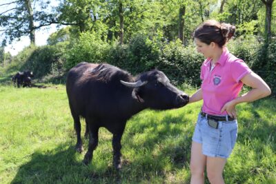 Éleveuse qui caresse l’une de ses bufflonnes dans un pâturage verdoyant. - Agrandir l'image 2 sur 3, fenêtre modale