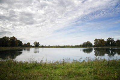 Agrandir l'image 4 sur 5, fenêtre modale