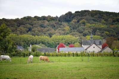 Agrandir l'image 1 sur 5, fenêtre modale