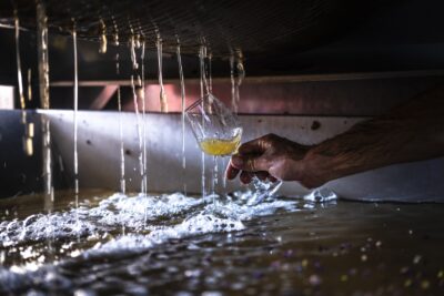 Verre de vin qui se remplit, issu des vendanges à Monein - Agrandir l'image 5 sur 6, fenêtre modale
