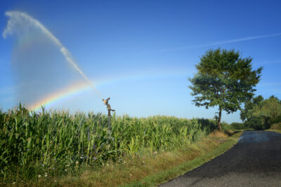 Vue d'un champ depuis un petit chemin qui est arrosé et par dessus le jet d'eau, vient un arc-en-ciel. - Agrandir l'image 2 sur 2, fenêtre modale