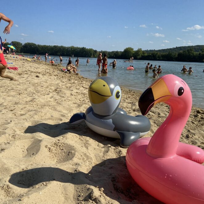 Deux bouées de forme animale posées sur la plage de sable fin de la base de loisirs Orthez-Biron près du lac.
