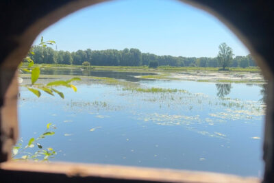 Vue de la Saligue aux oiseaux, une vaste étendue d'eau, depuis l'un des trous d'observation. - Agrandir l'image 2 sur 3, fenêtre modale