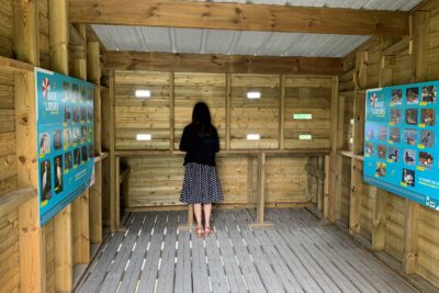 Personne observant à travers un petit trou horizontal, les oiseaux de la Base de loisirs via un poste d'observation. - Agrandir l'image 1 sur 3, fenêtre modale