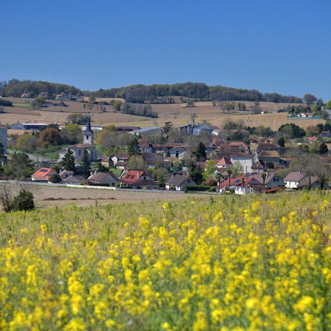 Vue depuis un champs de belles fleurs jaunes sur la commune de Baigts.