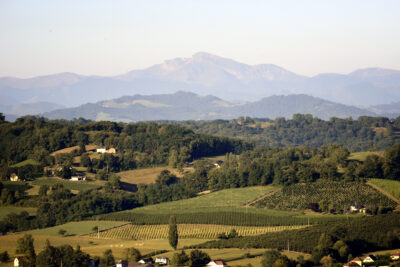 Vue panoramique d'un paysage avec au premier plan des champs et maisons, au second plan des espaces boisés, et en arrière plan la chaine de montagne des Pyrénées. - Agrandir l'image 1 sur 6, fenêtre modale