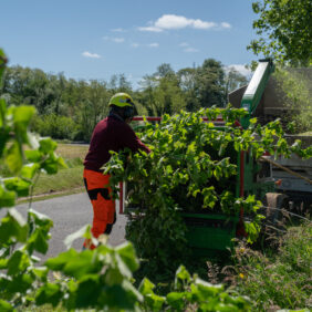 Agent d'entretien des espaces verts en train d'élaguer en bordure de route. Tous les déchets verts sont chargé à l'arrière d'un camion garé en bord de route.