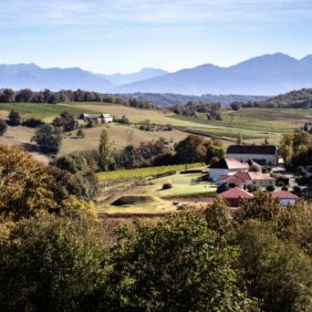 Vue d'un paysage avec au premier plan des arbres, au second plan quelques habitations récentes, au troisième plan des plaines vallonnées, et au dernier plan, une partie de la chaine des Pyrénées.