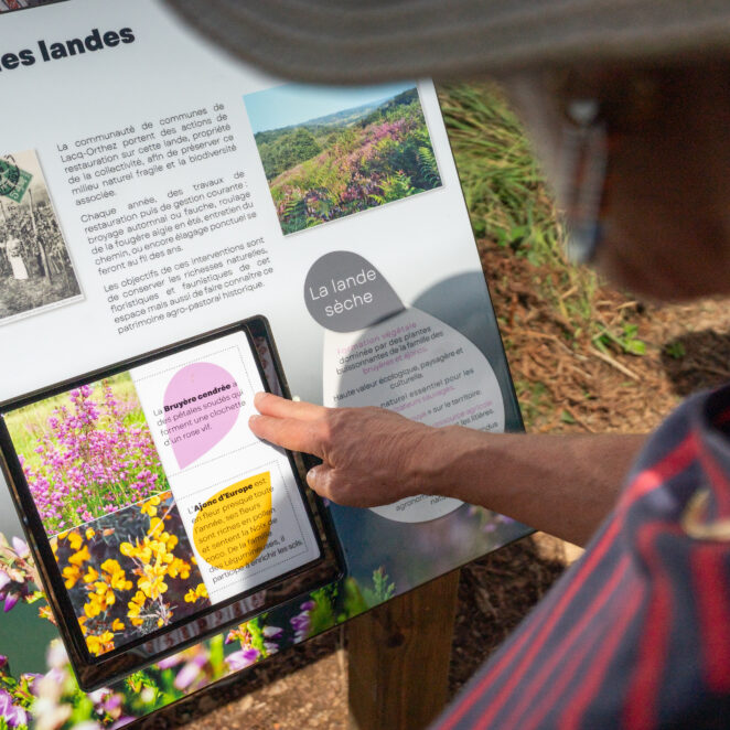 Femme utilisant un des panneaux pédagogiques présentant les végétaux du parcours de randonnée emprunté.