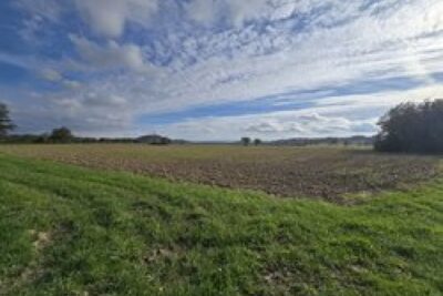 Agrandir l'image 2 sur 2, fenêtre modale