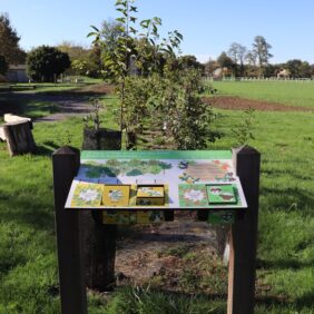 Face à nous, un panneau pédagogique avec des cubes à plusieurs face qui se tournent nous informent sur l'utilité des haies champêtres plantées devant nous dans un espace naturel du territoire.