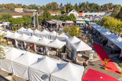 Vue du ciel de la Foire avec trois allées avec des stands sous chapiteau cote à cote et situés de part et d'autres des cheminements. Il y a deux allées sur la gauche de l'image à l'horizontale avec environ 6 chapiteaux de chaque côté, et une allée à droite à la verticale avec environ 6 chapiteaux aussi. - Agrandir l'image 3 sur 9, fenêtre modale