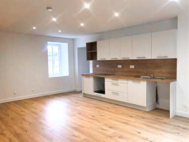 Cuisine équipée flambant neuve posée face à nous sur la droite contre un mur blanc fraichement repeint et sur du parquet neuf. Des lumières au plafond sont modernes et neuves également.