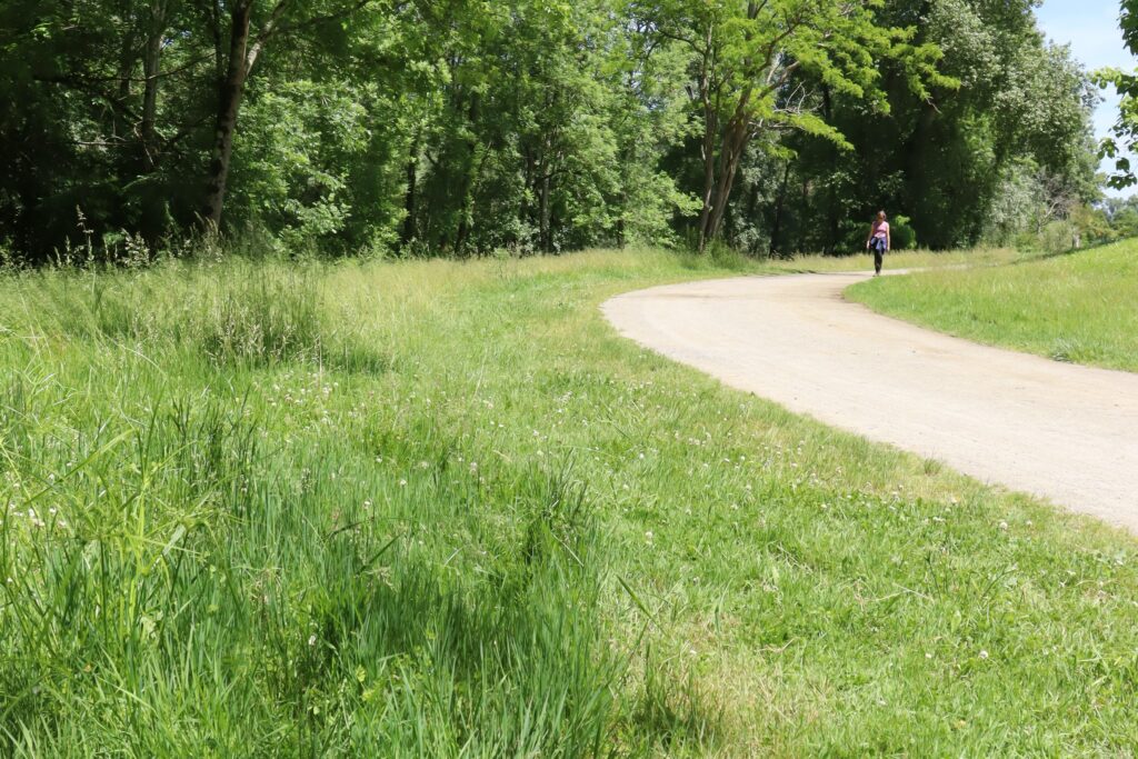 Vue depuis le sol d'un chemin piéton avec au loin une personne qui s'avance vers nous, et on distingue bien sur la droite qu'au bord du chemin l'herbe est tondue sur un mètre de largeur, et qu'après l'herbe est laissée haute.