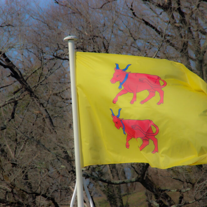 Le drapeau jaune avec deux vaches rouges flotte au sommer d'un mât