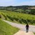Balade vigneronne : Domaine Montesquiou - MONEIN