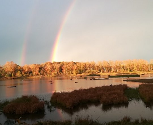 Été enchanté : Observation des oiseaux à la base de loisirs - ORTHEZ