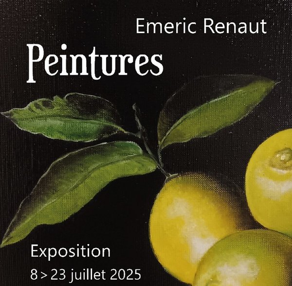 Exposition : Emeric Renaut - ORTHEZ