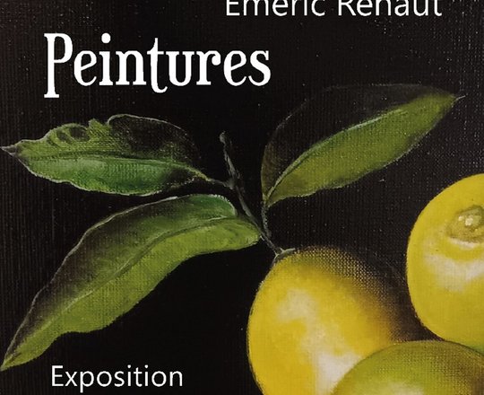 Exposition : Emeric Renaut - ORTHEZ
