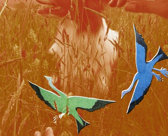 Vernissage de l'exposition : Je bergère, tu bergères - ORTHEZ