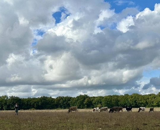 Journée agriculturelle - CASTETIS