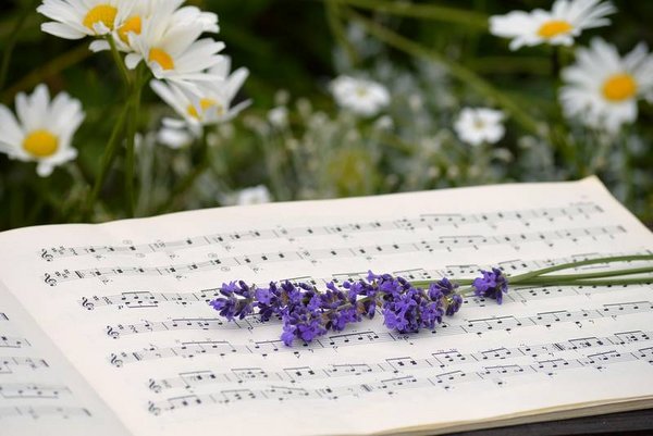 Concert - LUCQ-DE-BEARN
