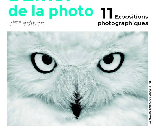 Vernissage expositions : L'émoi de la photo - ORTHEZ