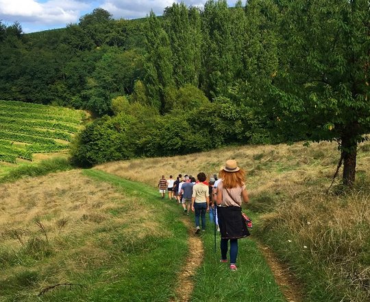 Balade vigneronne : Domaine Larroudé - LUCQ-DE-BEARN
