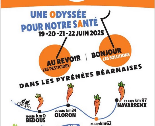 Le réveil de la carotte - MONEIN