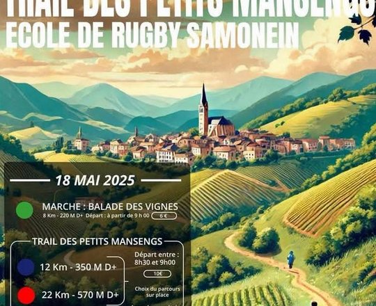 Trail des petits mansengs - MONEIN