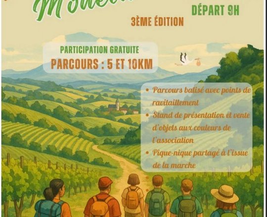 Randonnée Monein - MONEIN
