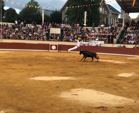 Course landaise de promotion - ORTHEZ