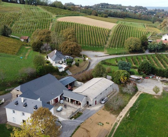 Balade vigneronne : Le Dôme - MONEIN