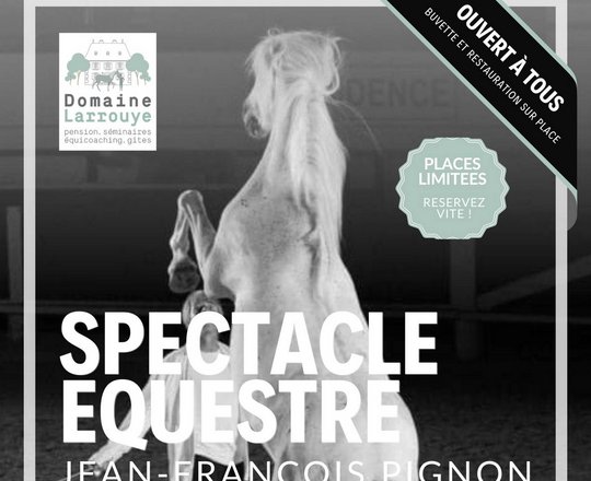 Spectacle équestre - MESPLEDE