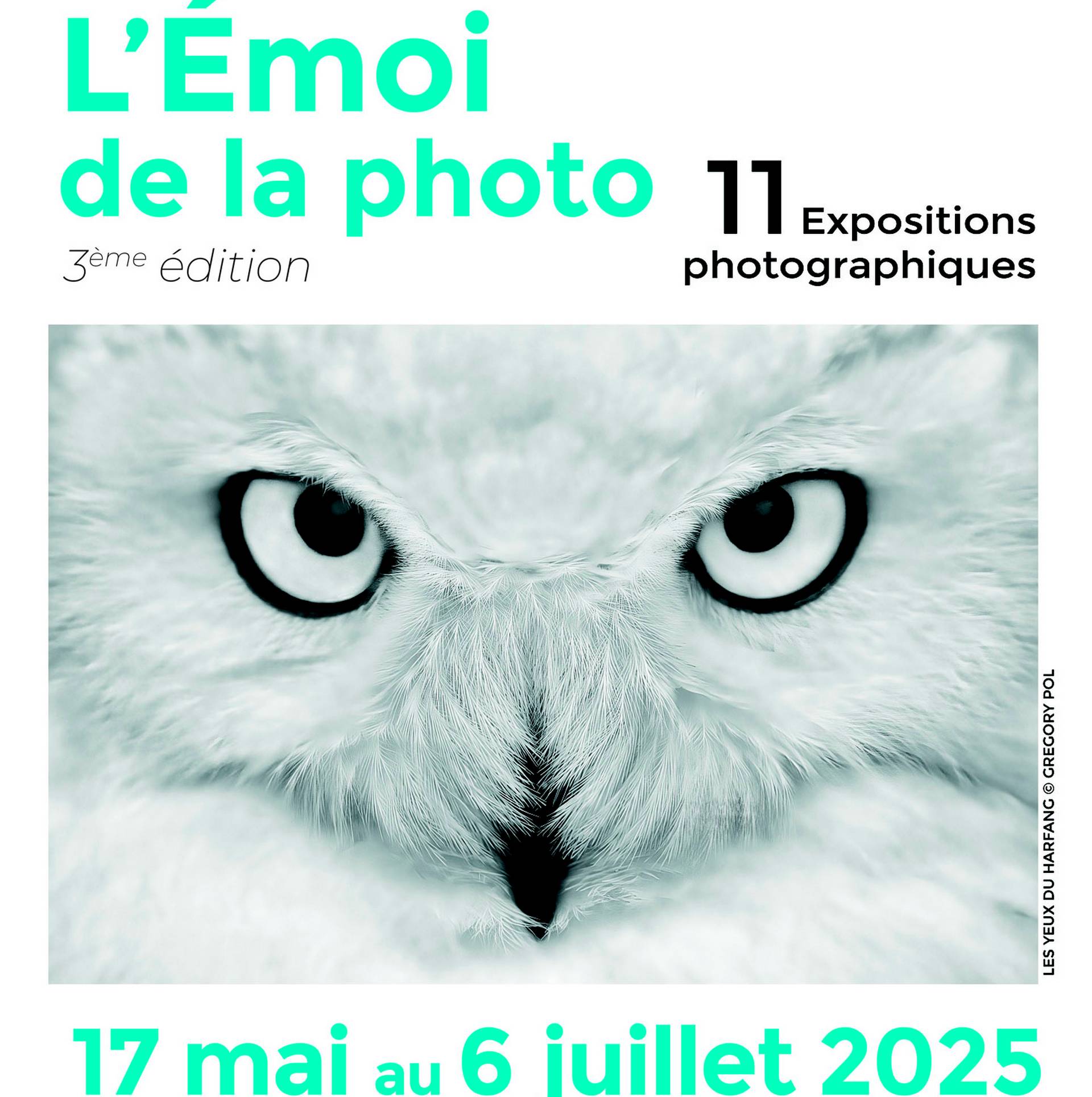 Expositions photographiques : L'émoi de la photo - ORTHEZ
