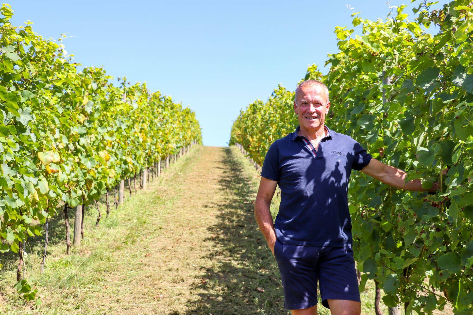 Balade vigneronne : Le Dôme - MONEIN