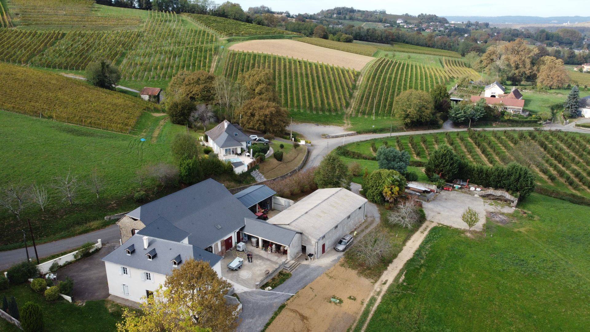 Balade vigneronne : Le Dôme - MONEIN